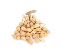 Honestly Made natural seed shaker