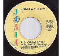 Honey And The Bees - Its Gonna Take A Miracle - Honey And The Bees 7" 45