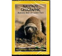Honey Badger - Warrior of the Kalahari