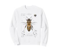 Honey Bee Anatomy Vintage Field Guide Diagram Art Sweatshirt