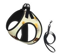 Honey Bee Compact Pet Suspender Vest-The Perfect Small Pet For A Comfortable Walk