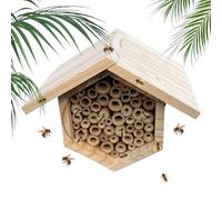 Honey Bee Hive Hexagonal Beehive With Tubes