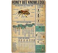 Honey Bee Knowledge Metal Tin Sign Information About Bees Planing Diagram Poster Plaque for School Education Bar Cafe Club Home Kitchen Wall Decoration 12x8 Inches