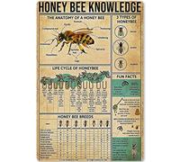 Honey Bee Knowledge Metal Tin Sign Information About Bees Planing Diagram Poster Plaque for School Education Bar Cafe Club Home Kitchen Wall Decoration 8x12 Inches