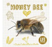 Honey Bee (Life Cycles)
