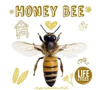 Honey Bee (Life Cycles)