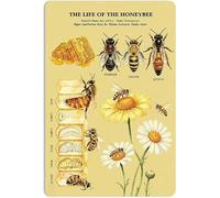 Honey Bee Life Knowledge Educational Farm Vintage Metal Tin Sign