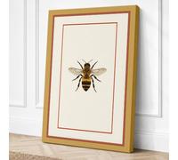 Honey Bee Study Botanical Canvas Wall Art Print 30x20 Inch (76 x 51 cm)