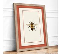 Honey Bee Study Botanical Framed Wall Art Print A1 (84.1×59.4cm) Oak, Wall Decor for Living Room, Bedroom, Office & Home, Ready to Hang, Art Gift