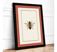 Honey Bee Study Botanical Framed Wall Art Print A4 (29.7×21cm) Black, Wall Decor for Living Room, Bedroom, Office & Home, Ready to Hang, Art Gift