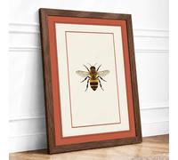 Honey Bee Study Botanical Framed Wall Art Print A4 (29.7×21cm) Walnut, Wall Decor for Living Room, Bedroom, Office & Home, Ready to Hang, Art Gift