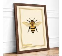 Honey Bee Study Botanical Framed Wall Art Print A4 (29.7×21cm) Walnut, Wall Decor for Living Room, Bedroom, Office & Home, Ready to Hang, Art Gift