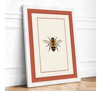 Honey Bee Study Botanical Framed Wall Art Print A4 (29.7×21cm) White, Wall Decor for Living Room, Bedroom, Office & Home, Ready to Hang, Art Gift