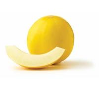 Honey drew melon Approx. 3 KG 1 Piece 10.99