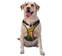 Honey Peach Large Printed pet Traction Vest - Ideal for Dog Walking, Hiking, Daily Travel