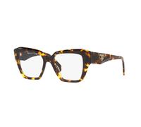 Honey Tortoise / 51