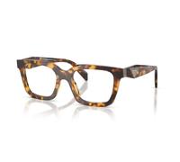 Honey Tortoise / 52