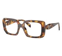 Honey Tortoise / 53