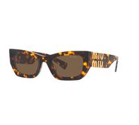 Honey Tortoise/Dark Brown / 53