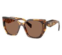 Honey Tortoise/Dark Brown / 55