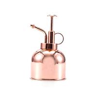 HoneybeeLY Copper Rose Gold Plant Mister, 300ml Stainless Steel Watering Spray Bottle, Ergonomic Design, Perfect for Indoor & Outdoor Plants