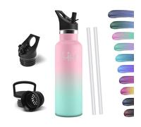 HoneyHolly Thermos Flask, 500 ml, BPA-Free, Stainless Steel, Leak-Proof Insulated Flask, Double-Walled, Water Bottle, Stainless Steel, Thermos Flask, with Straw, Suitable for Carbonated Drinking