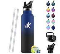 HoneyHolly Thermos Water Bottle, 750 ml, BPA-Free, Thermal Bottle, Double Walled Vacuum Flasks, 18/8 Stainless Steel, Water Bottle with Straw, Thermos for Gym, Sports, Bike