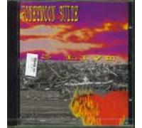 Honeymoon Suite - 13 Live (1995)