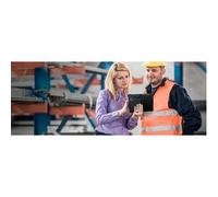 Honeywell RT10W-L00-17C12S0E. Display Diagonal: 25.6 Cm 10.1" Display Resolution