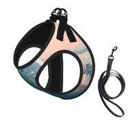 Hong Kong print Dog Harness and Leash Set, Reflective Adjustable Puppy Vest for Small Medium Large Dogs, Cats