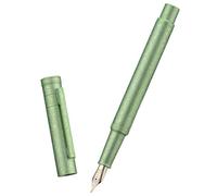 Hongdian 1851 Forest Fountain Pen Applegreen Ice Flower, Bent Nib Classic Design with Converter and Metal Pen Case