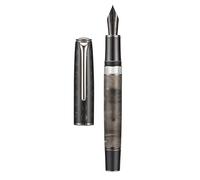 Hongdian N7 Gray Resin Piston Fountain Pen, Iridium Extra Fine Nib Classic Pen Rabbot on Cap Top, Smooth Writing Pen with Metal Box