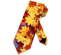 Hongfacai Men's Ties Business Necktie for Men Autumn Leaves Fashion Neck Tie Slim Skinny Tie Necktie for Men Xmas Wedding Business Formal Party (145 x 8 cm)