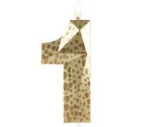 Hongplus 3D Lion Wild One Birthday Candles,Metallic Number 1 Candle,Happy 1st Birthday Candle for Cake,Jungle Safari Cake Topper Decorations for Boys Girls First Birthday Party Anniversary Supplies