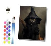 HONGPZH Paint by Number for Adults Beginner Canvas Choice for Birthday Anniversary or Any Festival Acrylic Painting Kit for Room Decor 16x20 inch Frameless The Witch's Black Cat