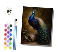 HONGPZH Paint by Numbers for Adults and Beginner Painting by Number with Frame Oil Paintings on Canvas House Wall Decor 16x20in Peacock on the Rock