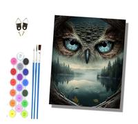HONGPZH Paint by Numbers for Adults and Beginner Painting by Number Without Frame Oil Paintings on Canvas House Wall Decor 16x20in Tree Hole Owl Eye