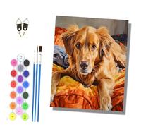 HONGPZH Paint by Numbers for Adults and Beginner Painting by Number Without Frame Oil Paintings on Canvas House Wall Decor 16x20in Golden Retriever Lies on the Bed, Waiting for the Visitor.