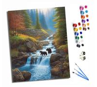 HONGPZH Paint by Numbers Kits for Adults Painting Kits for Beginners On Clear Symbols Colored Canvas Acrylic Pigment Drawing Paintwork for Home Wall Decor 16x20in with Frame OSO Negro en el Arroyo