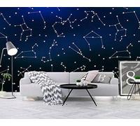 HongYouQi 3D Mural Art Bedroom Blue Night Sky Landscape Living Room Sofa Tv Wallpaper-250cm×170cm