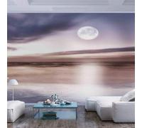 HongYouQi 3D Mural Home Wall Decoration Moon Starry Sky Landscape Creative Living Room Sofa Tv Wallpaper-200cm×140cm