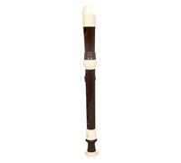 HONITANO 1 Set Soprano Recorder Professional Wind Instrument for Beginners Detachable Design for Easy Cleaning for Learning and Performing Safe Polished Surface for Indoor and Outdoor Use