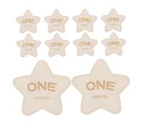 HONITANO 12pcs Memorial Plaque Wooden Star Shaped Newborn Months Photo Discs Keepsake Cards Monthly Marker Countdown Props for Newborn Photography Months