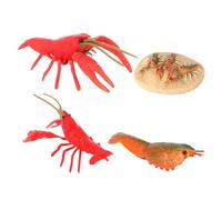 HONITANO 1set Creative Crayfish Growth Toys Cycle Model Crayfish Cognitive Toys