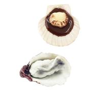 HONITANO 2pcs Simulation Plastic Scallop Models Fresh Oyster Seafood Decor Aquatic Scene Layout Realistic Desktop Food Decors