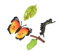 HONITANO 3 Sets Realistic Butterfly Growth Cycle Simulation Models Educational Animal Display for Preschool Nature Learning and Life Cognition