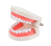 HONITANO Childrens Educational Teeth Brushing Model for High Detail Tooth Decay Simulation Early Learning Plaything for Fine Motor Skills and Oral Hygiene Teaching