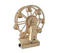 HONITANO DIY Electric Ferris Wheel Science Experiment Model for Students Educational Scientific Without Battery Enhance Analytical Thinking and Observation Skills Kit