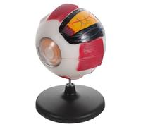 HONITANO Enlarged Plastic Eyeball Anatomy Model for Study Realistic Hand Painted Eye Structure with Detailed Internal and External Parts Lightweight Plastic for Biology Teaching and Medical