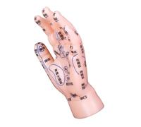 HONITANO Hand Acupuncture Reflexology Model with Precise Display Hand Zone Massage Training Tool for Traditional Chinese Medicine Teaching